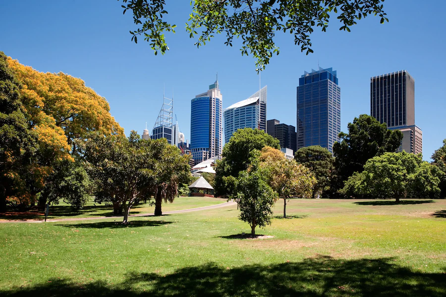 Delivery Throughout NSW